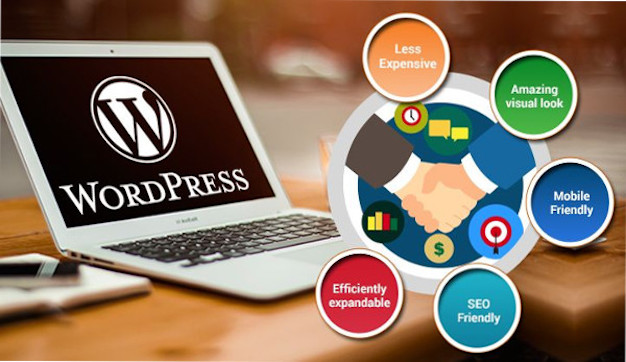 5 Facts You Probably Didn’t Know About WordPress 2022